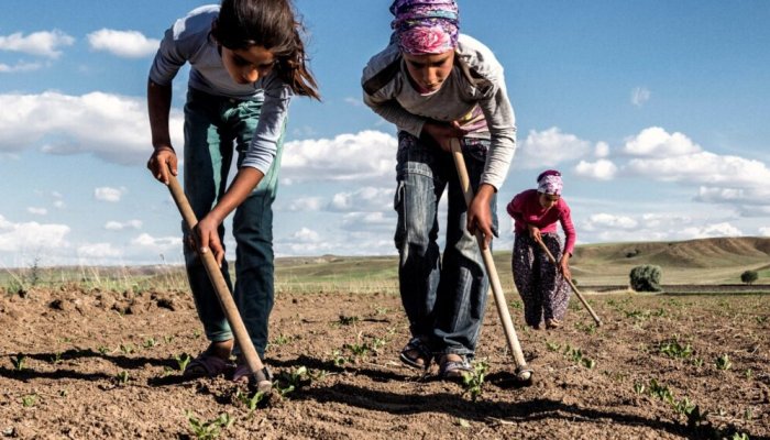 The Project to Elimination of Child Labour in Seasonal Agriculture Has Begun
