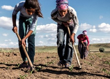 The Project to Elimination of Child Labour in Seasonal Agriculture Has Begun The Project to Elimination of Child Labour in Seasonal Agriculture Has Begun