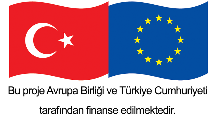 The Final Report of the “Active Participation of Civil Society in the Higher Education System” Project Has Been Published